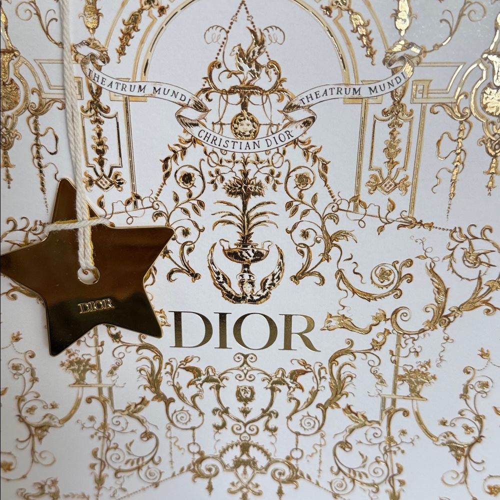 Dior Gift Bag - Picture 3 of 6